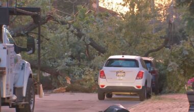 Massive tree falls in Pittsburgh’s Manchester neighborhood, bringing down wires, snapping pole – WPXI