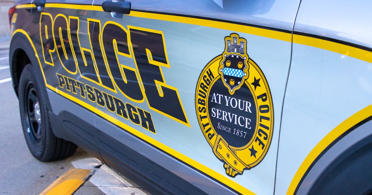 2 men arrested after parachuting from Carnegie Mellon University building construction site: police