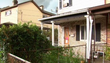 2 children found living in deplorable conditions with dead dogs inside Munhall home; woman charged