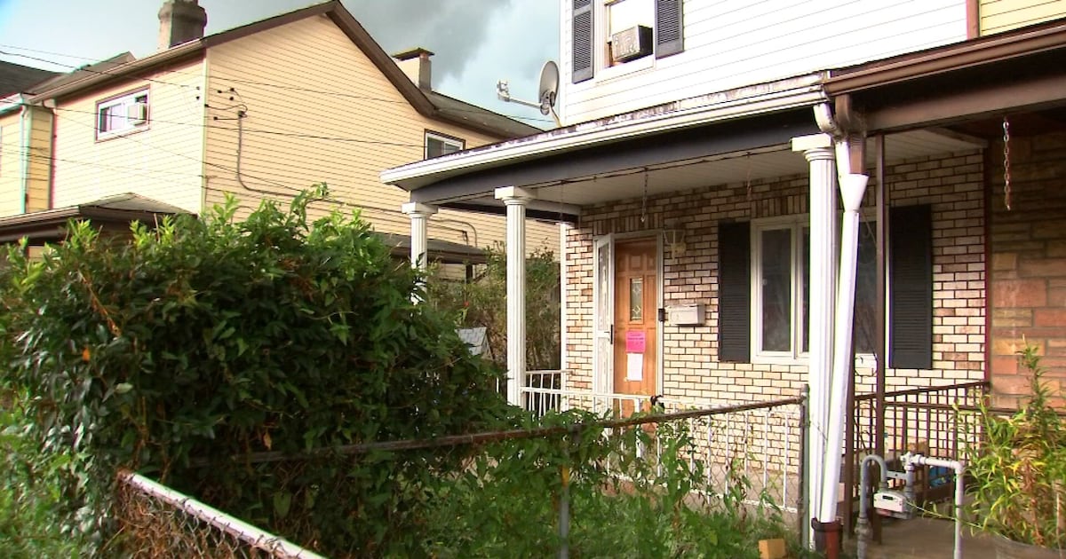 2 children found living in deplorable conditions with dead dogs inside Munhall home; woman charged