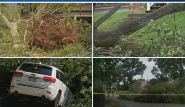 SEVERE STORMS: A look at cleanup, rescues, damage across the Western Pennsylvania region