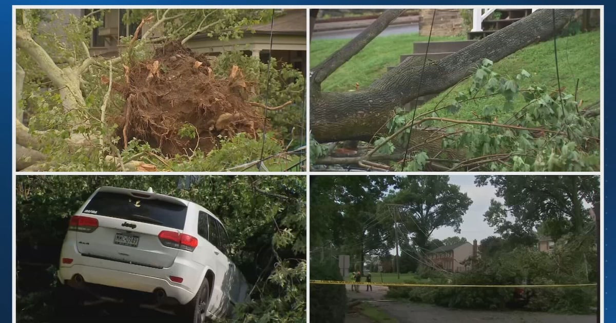 SEVERE STORMS: A look at cleanup, rescues, damage across the Western Pennsylvania region