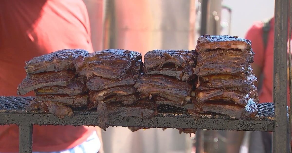 Woman arrested after attempting to bring gun into Rib Fest