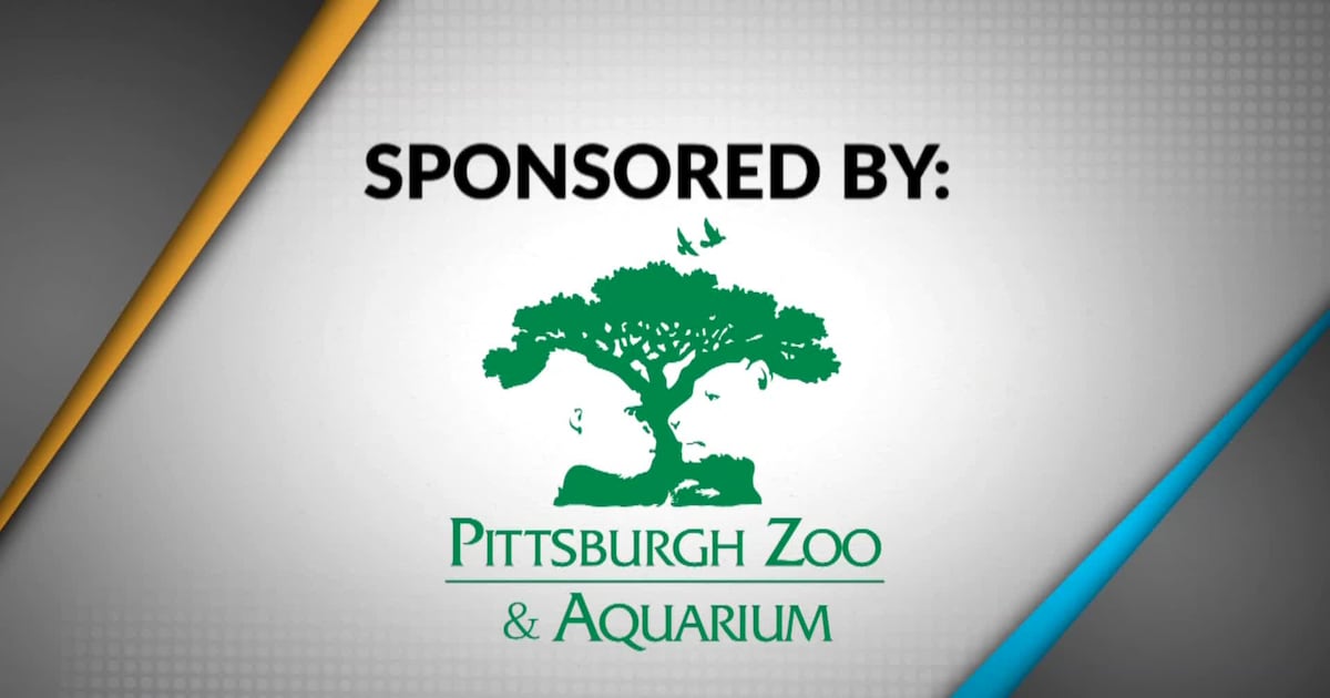 Take 5 - Pittsburgh Zoo and Aquarium – WPXI