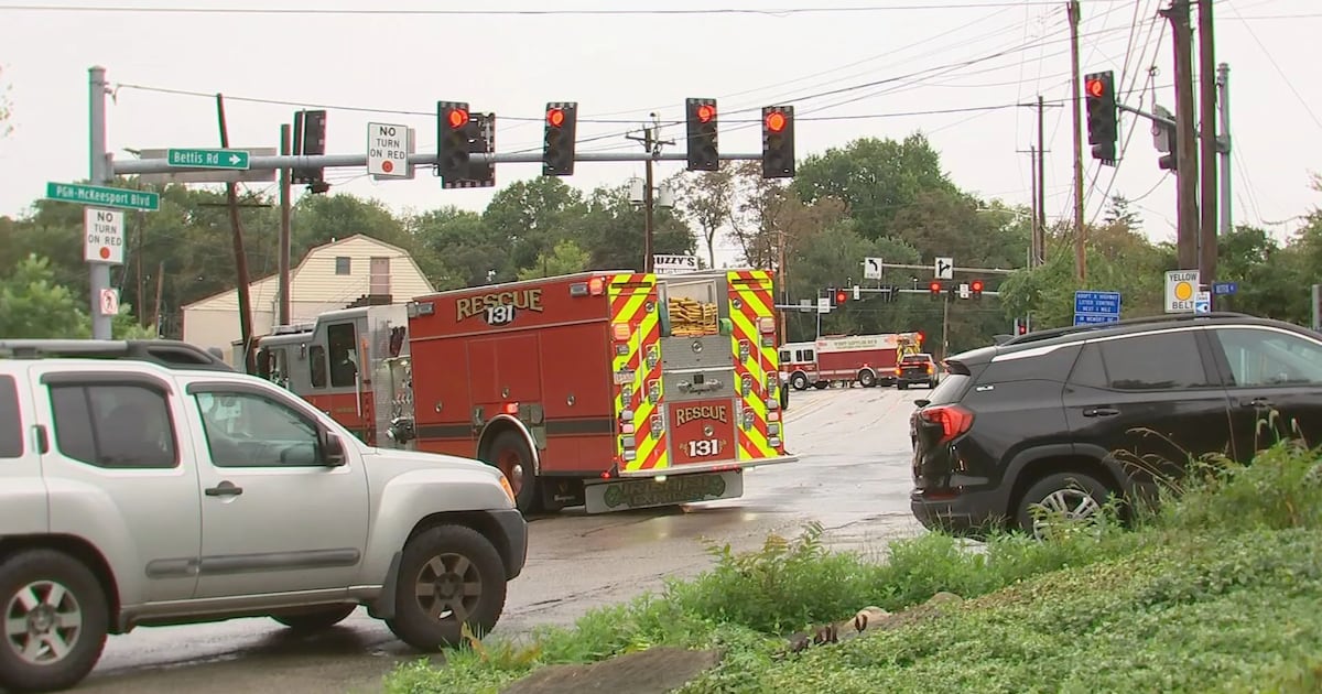 RAW: Person hit by vehicle in McKeesport; police investigation underway – WPXI