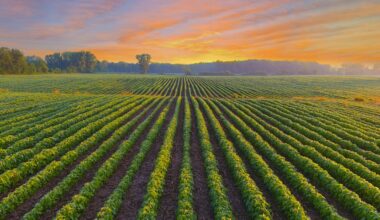 Pennsylvania Farmer Turns Down Nearly $16 Million Offer From Data Center Developers