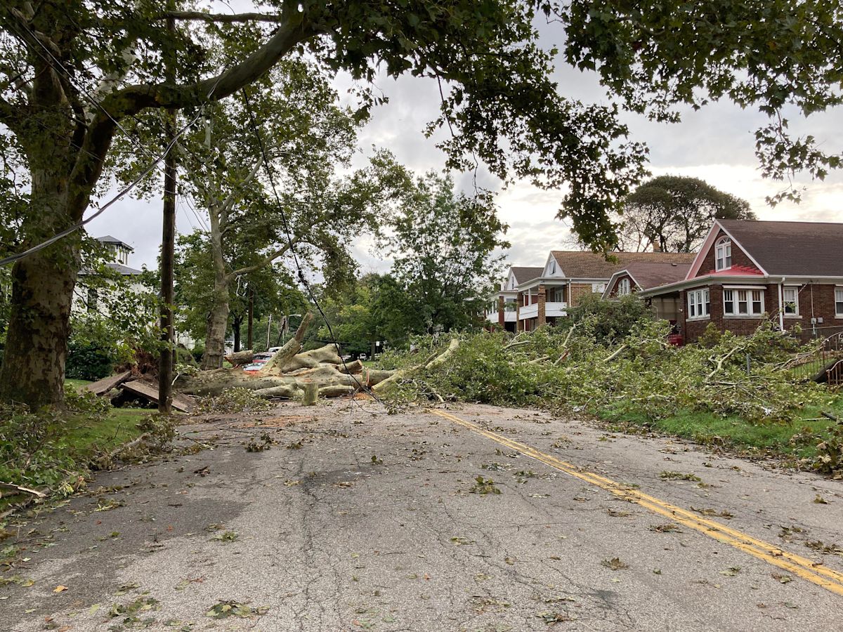 City of Erie reopens most roads following storm damage