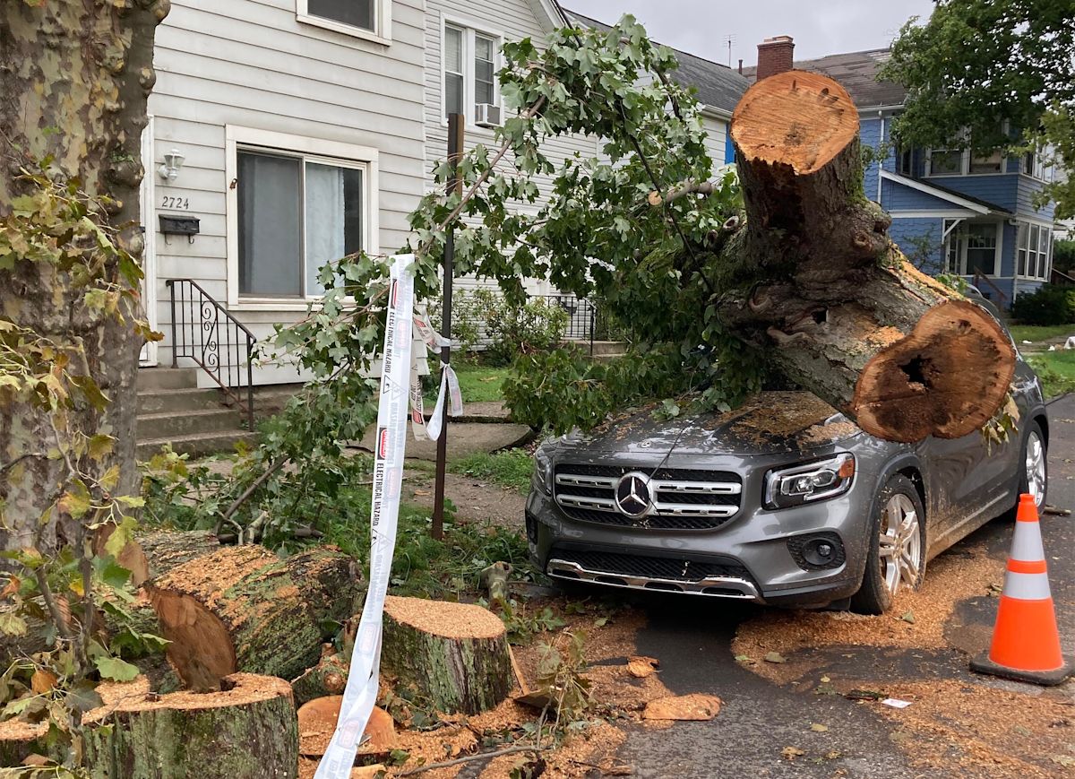 Erie schedules tree-limb removal services as part of storm cleanup
