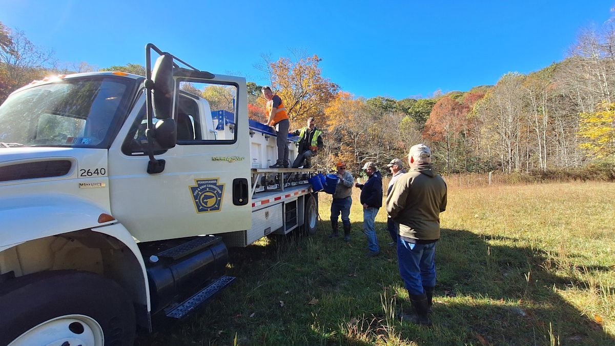 Trout will soon be stocked across Pennsylvania, here's what's planned