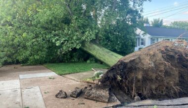 Erie City Council approves $4 million for massive storm cleanup