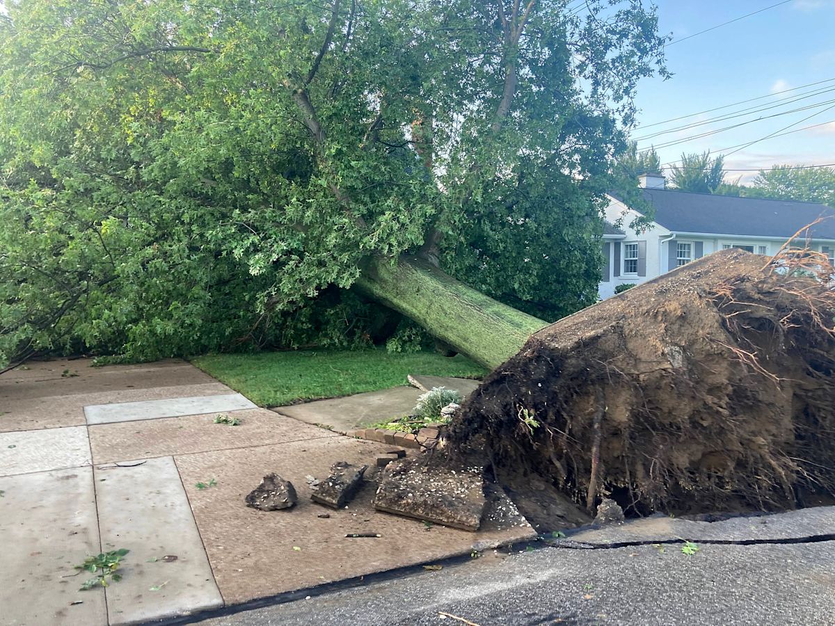 Erie City Council approves $4 million for massive storm cleanup