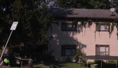 At Least 2 Dogs Found Dead, 14 Other Animals Rescued in Pennsylvania Home in ‘Deplorable Condition’