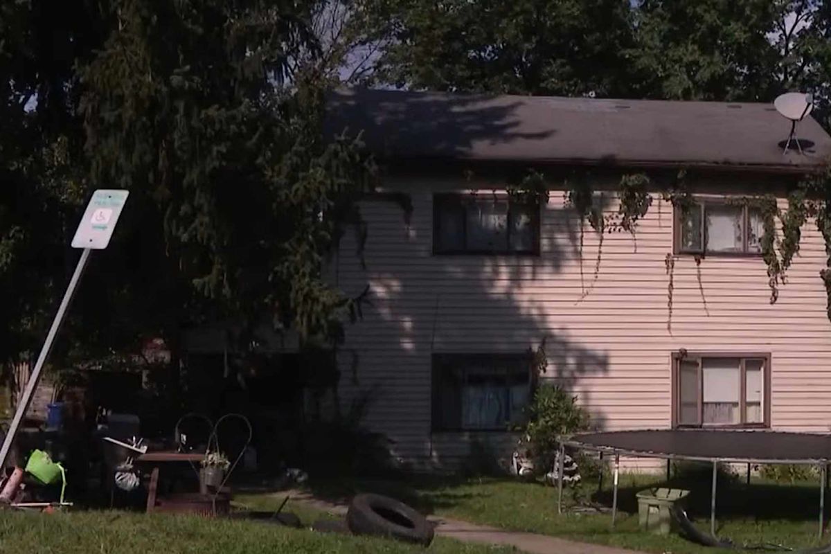 At Least 2 Dogs Found Dead, 14 Other Animals Rescued in Pennsylvania Home in ‘Deplorable Condition’