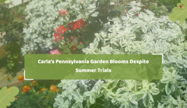Carla’s Pennsylvania Garden Blooms Despite Summer Trials