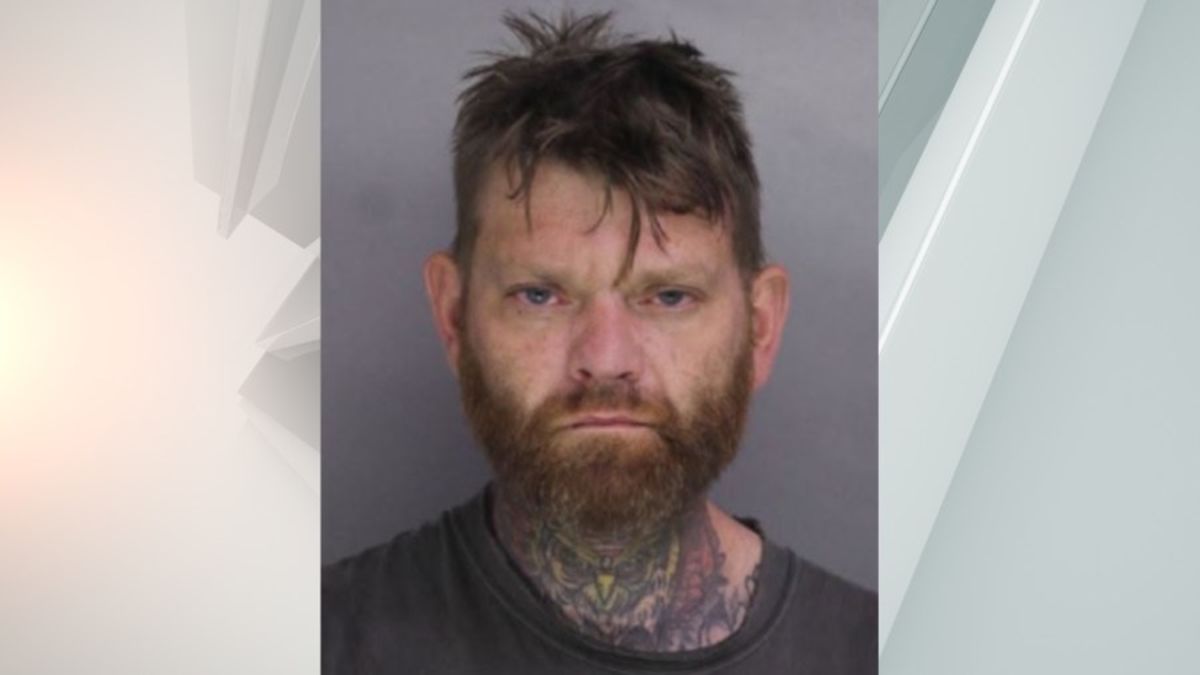 Man charged with damaging youth football field