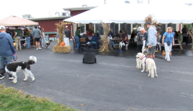 Erie Brewing Company hosts 12th annual Dogtoberfest