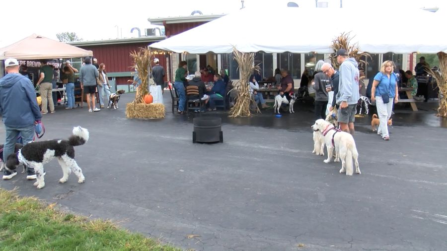 Erie Brewing Company hosts 12th annual Dogtoberfest