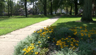 Erie City Council unanimously approves ‘Erie Outside’ plan for parks, open spaces