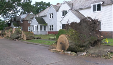 Erie continues storm damage recovery efforts