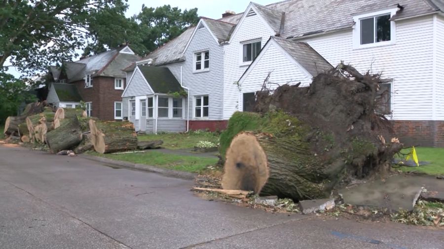 Erie continues storm damage recovery efforts