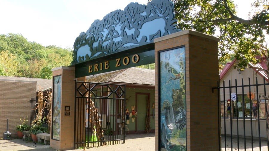 ‘Zoo for All’ returns to Erie Zoo, offering free admission