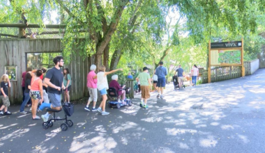 Zoo for All event promotes healthy living at Erie Zoo