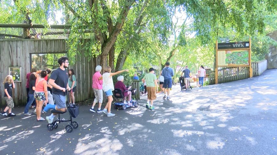 Zoo for All event promotes healthy living at Erie Zoo