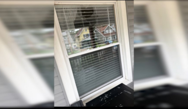 Erie family fears for safety after alleged harassment, threats