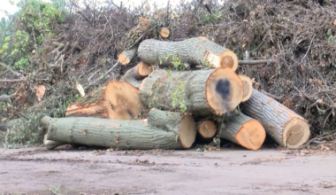 Erie compost site starts massive debris cleanup