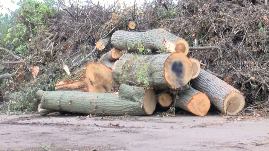 Erie compost site starts massive debris cleanup