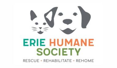 Erie Humane Society to host ‘Wags, Waves & Waldameer’ for dogs and their owners