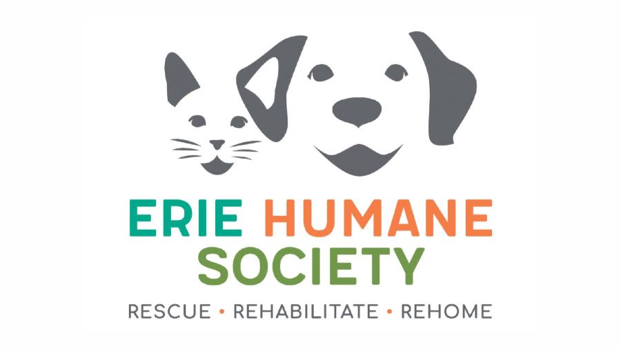 Erie Humane Society to host ‘Wags, Waves & Waldameer’ for dogs and their owners