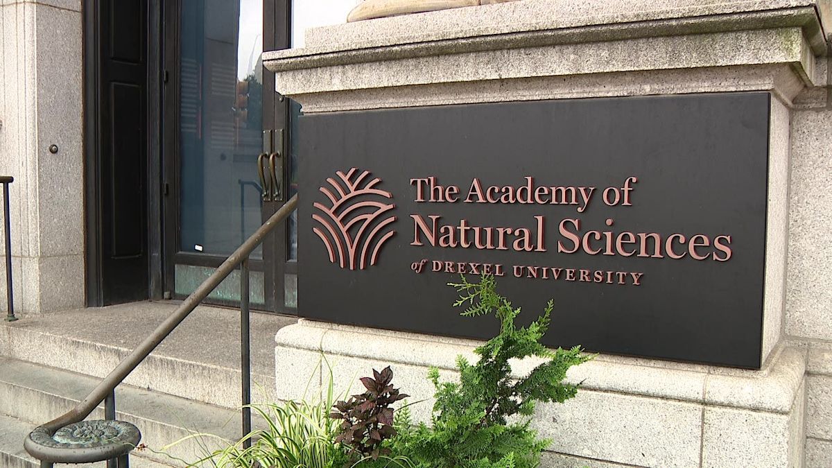 Historic Academy of Natural Sciences museum in Philadelphia to close Sept. 30