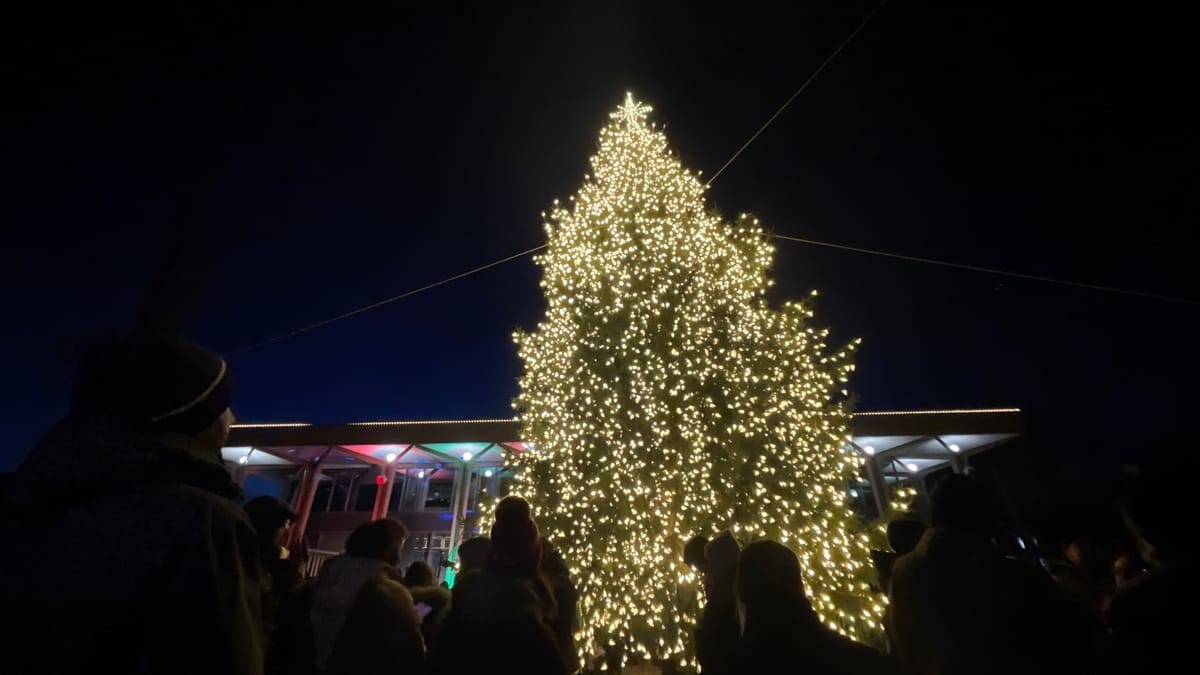 A Christmas City USA signature, 43-foot tree now lights up Bethlehem