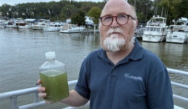 UT med students, experts get firsthand look at Lake Erie algal bloom during its peak