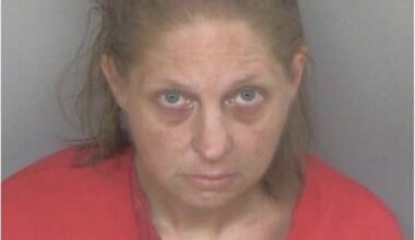 Pennsylvania Woman Booked On Identity Fraud Charges – Mercer County Outlook
