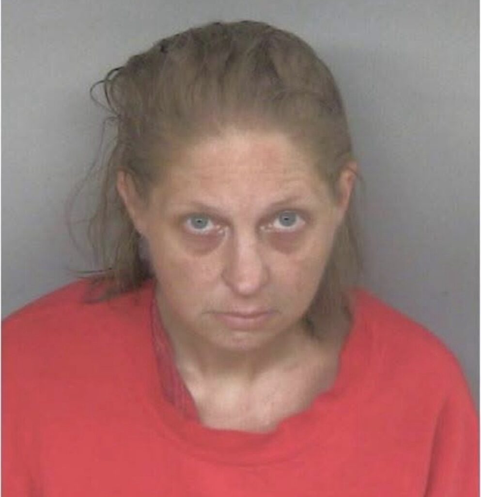 Pennsylvania Woman Booked On Identity Fraud Charges – Mercer County Outlook