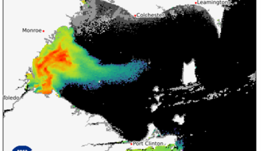 Lake Erie algal bloom remains thick between Toledo and Monroe