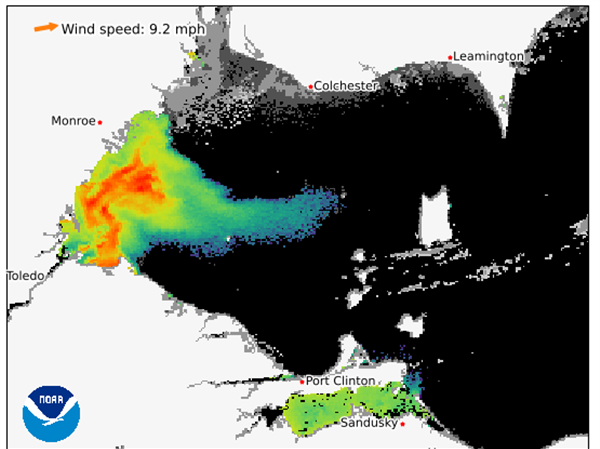 Lake Erie algal bloom remains thick between Toledo and Monroe