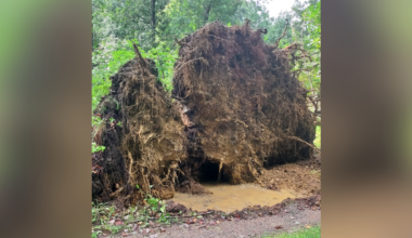 Photos show damage across Pittsburgh area from "1 in 100 year" storm