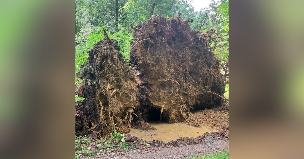 Photos show damage across Pittsburgh area from "1 in 100 year" storm