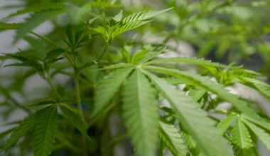 10 people arrested in alleged large-scale drug trafficking ring in Pennsylvania