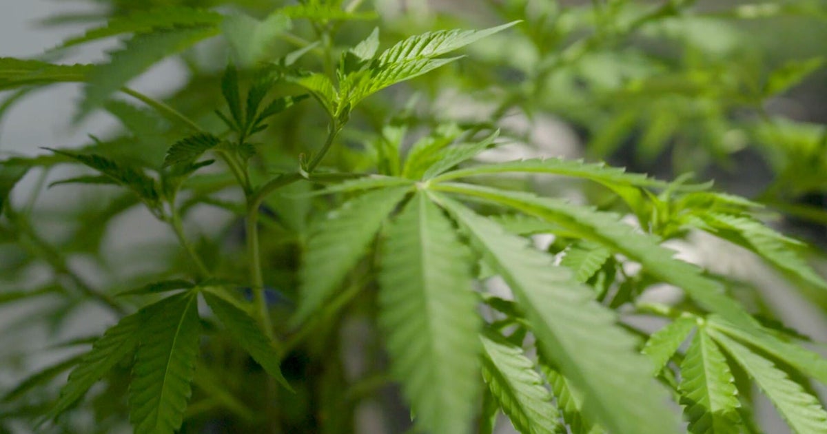 10 people arrested in alleged large-scale drug trafficking ring in Pennsylvania