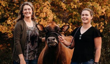 Pennsylvania sisters receive national Young Jersey Breeder Award