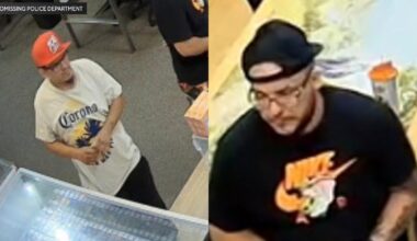 "One Piece" trading card valued at $8,000 stolen from Pennsylvania store; 2 suspects sought