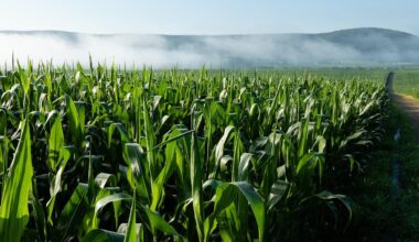 Pennsylvania Most Effective Basins | NFWF