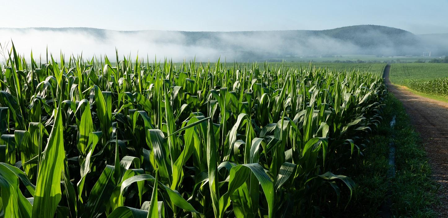 Pennsylvania Most Effective Basins | NFWF