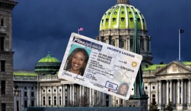 Ada Nestor: Pennsylvania leads the nation in shady driving schools