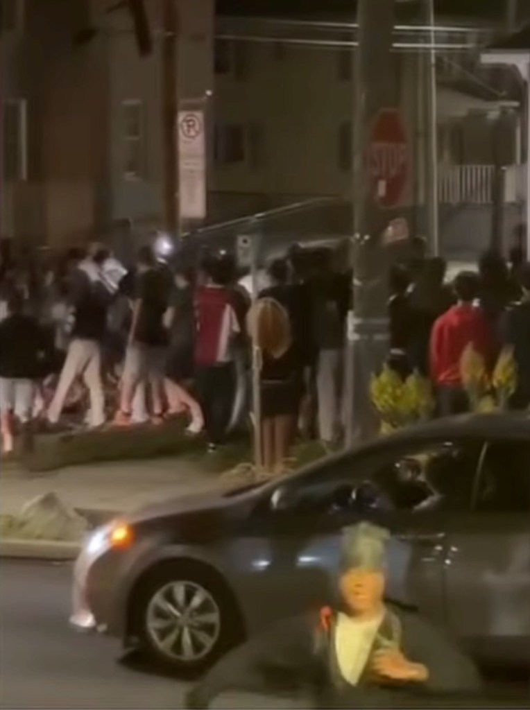 Police respond after a large fight near York College.