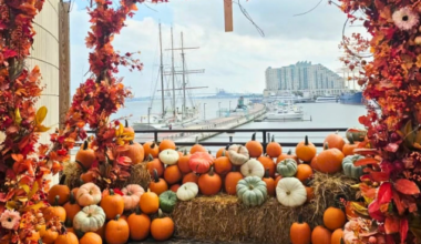 Cityside Pumpkin Patch returns to Liberty Point in Philadelphia with 10,000 pumpkins